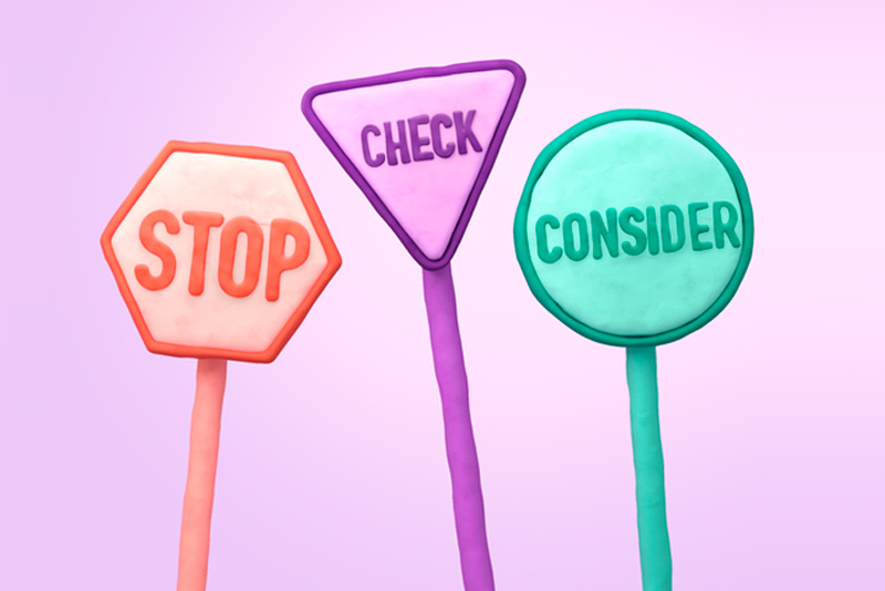 Voter's guide to campaigning